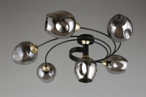 Потолочная люстра Aployt Flor APL.611.17.06 в Чебаркуле - chebarkul.mebel24.online | фото 1