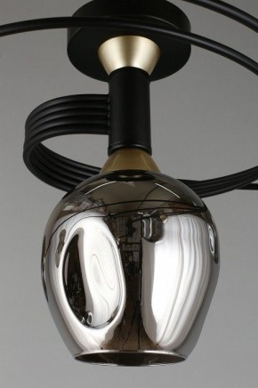Потолочная люстра Aployt Flor APL.611.17.06 в Чебаркуле - chebarkul.mebel24.online | фото 9