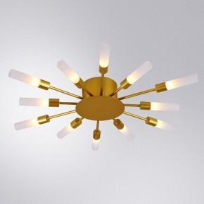 Потолочная люстра Arte Lamp Maple A1276PL-12GO в Чебаркуле - chebarkul.mebel24.online | фото 1