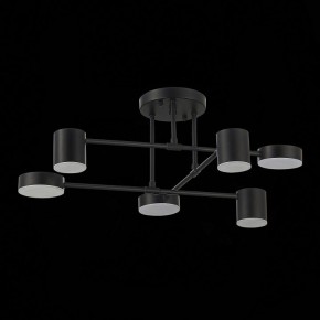 Потолочная люстра EVOLUCE Nobel SLE201042-06 в Чебаркуле - chebarkul.mebel24.online | фото 14
