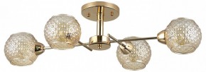 Потолочная люстра Rivoli Amalia Б0050815 в Чебаркуле - chebarkul.mebel24.online | фото