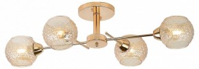 Потолочная люстра Rivoli Amalia Б0050815 в Чебаркуле - chebarkul.mebel24.online | фото 2