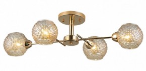 Потолочная люстра Rivoli Amalia Б0050815 в Чебаркуле - chebarkul.mebel24.online | фото 3