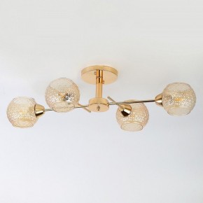 Потолочная люстра Rivoli Amalia Б0050815 в Чебаркуле - chebarkul.mebel24.online | фото 7