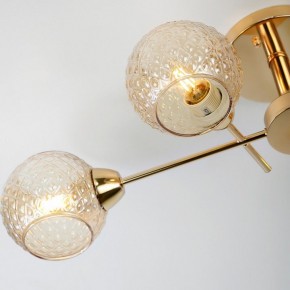 Потолочная люстра Rivoli Amalia Б0050815 в Чебаркуле - chebarkul.mebel24.online | фото 8