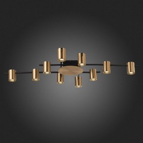 Потолочная люстра ST-Luce Veroli SL1207.402.10 в Чебаркуле - chebarkul.mebel24.online | фото 6