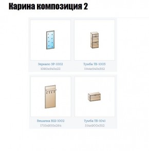 Прихожая Карина (модульная) в Чебаркуле - chebarkul.mebel24.online | фото 6