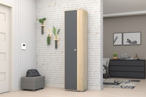 Прихожая Монако-2 (Дуб Сонома/Графит) в Чебаркуле - chebarkul.mebel24.online | фото 11