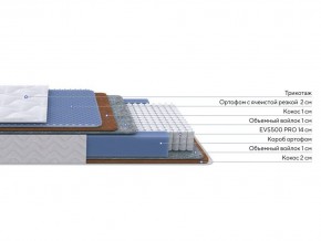 PROxSON Матрас Active Duo M/F (Ткань Трикотаж Эко) 160x190 в Чебаркуле - chebarkul.mebel24.online | фото 2
