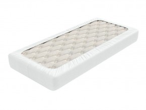 PROxSON Защитный чехол Aqua Save Light S (Ткань влагостойкая Tencel Jersey) 140x200 в Чебаркуле - chebarkul.mebel24.online | фото 2