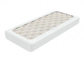 PROxSON Защитный чехол Aqua Save Plush S (Ткань влагостойкая Coral Fleece) 200x220 в Чебаркуле - chebarkul.mebel24.online | фото 2