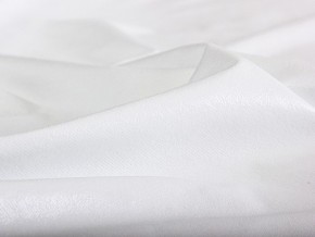 PROxSON Защитный чехол Aqua Save Plush S (Ткань влагостойкая Coral Fleece) 200x220 в Чебаркуле - chebarkul.mebel24.online | фото 6