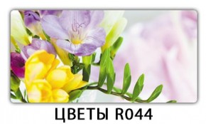 Раздвижной СТ Бриз орхидея R041 Доска D110 в Чебаркуле - chebarkul.mebel24.online | фото 12