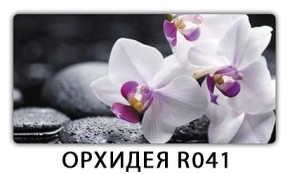 Раздвижной СТ Бриз орхидея R041 Кофе R012 в Чебаркуле - chebarkul.mebel24.online | фото 4