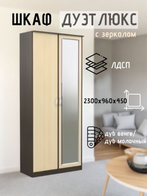 Шкаф 2-х створчатый Дуэт Люкс с зеркалом в Чебаркуле - chebarkul.mebel24.online | фото