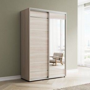 Шкаф-купе Акцент-Лайт ДЗ 1200-600 в Чебаркуле - chebarkul.mebel24.online | фото 6