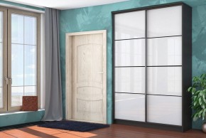 Шкаф-купе Байкал-2 СТЛ.268.11 в Чебаркуле - chebarkul.mebel24.online | фото 3