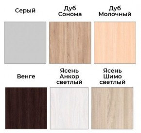 Шкаф-купе ХИТ 22-18-888 (620) в Чебаркуле - chebarkul.mebel24.online | фото 3