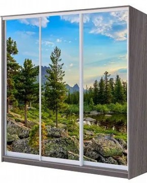Шкаф-купе ХИТ 22-20/2-777 ПРИРОДА в Чебаркуле - chebarkul.mebel24.online | фото