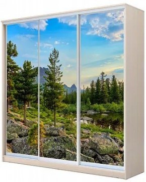 Шкаф-купе ХИТ 22-20-777 ПРИРОДА в Чебаркуле - chebarkul.mebel24.online | фото