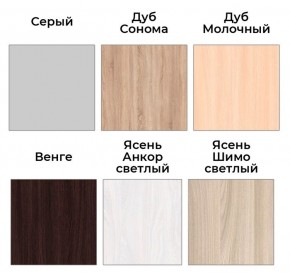 Шкаф-купе ХИТ 22-4-14-88 (420) в Чебаркуле - chebarkul.mebel24.online | фото 4