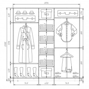 Шкаф-купе ХИТ 22-4-20-222 (420) в Чебаркуле - chebarkul.mebel24.online | фото 2