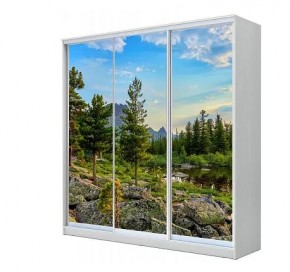 Шкаф-купе ХИТ 23-18-777 (620) в Чебаркуле - chebarkul.mebel24.online | фото