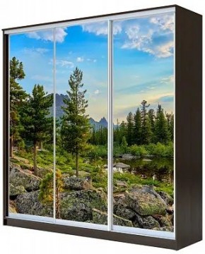 Шкаф-купе ХИТ 23-4-20-777 ПРИРОДА в Чебаркуле - chebarkul.mebel24.online | фото
