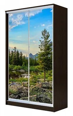 Шкаф-купе ХИТ 24-12-77 ПРИРОДА в Чебаркуле - chebarkul.mebel24.online | фото