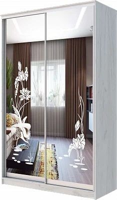Шкаф-купе ХИТ 24-14-66 ЦАПЛИ в Чебаркуле - chebarkul.mebel24.online | фото
