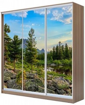Шкаф-купе ХИТ 24-20/2-777 ПРИРОДА в Чебаркуле - chebarkul.mebel24.online | фото