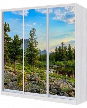 Шкаф-купе ХИТ 24-20-777 ПРИРОДА в Чебаркуле - chebarkul.mebel24.online | фото