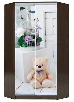 Шкаф-купе ХИТ-У-R-22-64-77 МИШКА В ИНТЕРЬЕРЕ в Чебаркуле - chebarkul.mebel24.online | фото