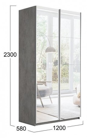 Шкаф-купе Траст СШК 2.120.60-13.13 в Чебаркуле - chebarkul.mebel24.online | фото 3