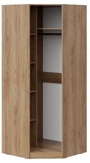 Шкаф платяной Глосс СМ-319.07.312 в Чебаркуле - chebarkul.mebel24.online | фото 2