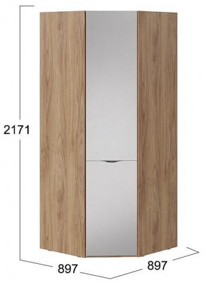 Шкаф платяной Глосс СМ-319.07.312 в Чебаркуле - chebarkul.mebel24.online | фото 4