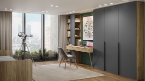 Шкаф платяной Порто СМ-393.07.223 в Чебаркуле - chebarkul.mebel24.online | фото 5