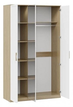 Шкаф платяной Сэнди в Чебаркуле - chebarkul.mebel24.online | фото 2
