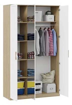 Шкаф платяной Сэнди в Чебаркуле - chebarkul.mebel24.online | фото 3