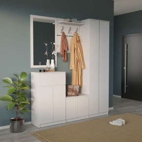 Шкаф платяной ШО-4 в Чебаркуле - chebarkul.mebel24.online | фото 6