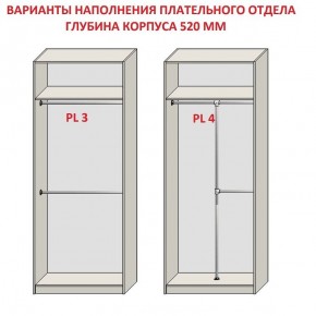 Шкаф распашной серия «ЗЕВС» (PL3/С1/PL2) в Чебаркуле - chebarkul.mebel24.online | фото 10