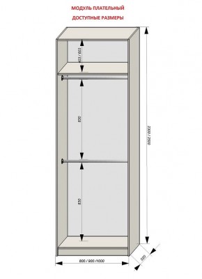 Шкаф распашной серия «ЗЕВС» (PL3/С1/PL2) в Чебаркуле - chebarkul.mebel24.online | фото 12