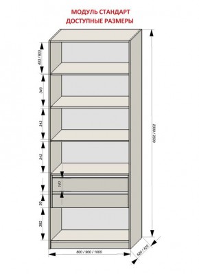 Шкаф распашной серия «ЗЕВС» (PL3/С1/PL2) в Чебаркуле - chebarkul.mebel24.online | фото 13