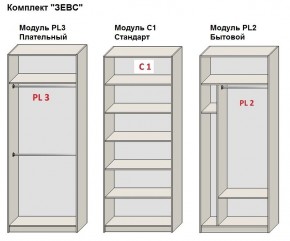 Шкаф распашной серия «ЗЕВС» (PL3/С1/PL2) в Чебаркуле - chebarkul.mebel24.online | фото 2