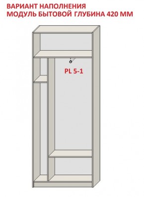 Шкаф распашной серия «ЗЕВС» (PL3/С1/PL2) в Чебаркуле - chebarkul.mebel24.online | фото 4