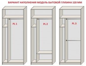 Шкаф распашной серия «ЗЕВС» (PL3/С1/PL2) в Чебаркуле - chebarkul.mebel24.online | фото 5