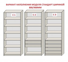 Шкаф распашной серия «ЗЕВС» (PL3/С1/PL2) в Чебаркуле - chebarkul.mebel24.online | фото 6