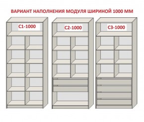 Шкаф распашной серия «ЗЕВС» (PL3/С1/PL2) в Чебаркуле - chebarkul.mebel24.online | фото 7