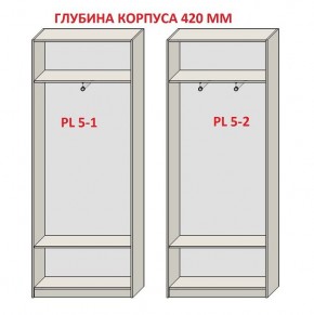 Шкаф распашной серия «ЗЕВС» (PL3/С1/PL2) в Чебаркуле - chebarkul.mebel24.online | фото 8