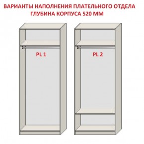 Шкаф распашной серия «ЗЕВС» (PL3/С1/PL2) в Чебаркуле - chebarkul.mebel24.online | фото 9